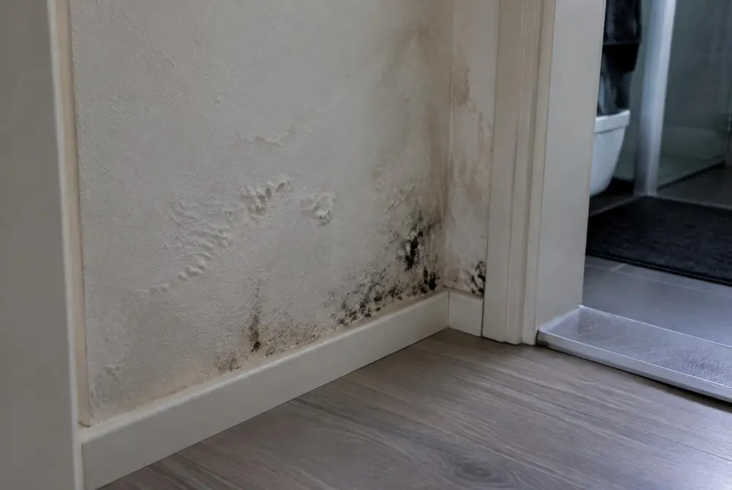 Lekdetectie Otterlo – vochtplek met schimmel op een muur